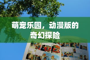 长沙萌宠乐园加盟招商条件及案例分析