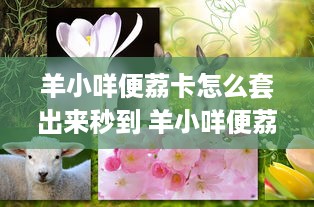 微信分付提现哪个最近比较火 微信分付提现哪家强？最新热门平台大盘点！