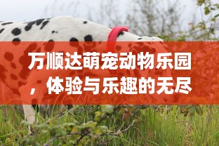 身份证查开房记录网址 揭秘身份证查开房记录，这些网址你一定要知道！