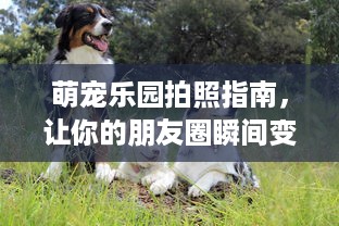 遵义白条取现额度多少啊 遵义白条取现额度揭秘，额度多少？怎么用？