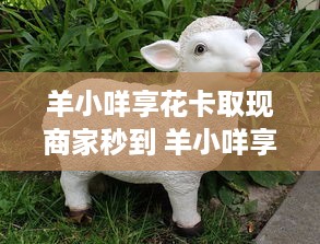 遵义白条取现额度多少啊 遵义白条取现额度揭秘，额度多少？怎么用？