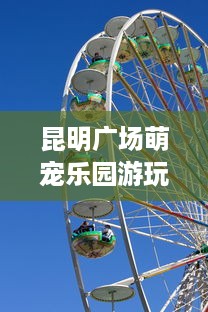 查开房同住人 揭秘查开房同住人，那些你不知道的秘密与技巧