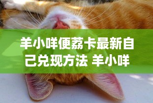 微信分付提现技巧分享 微信分付提现不求人，这些技巧让你轻松到账！