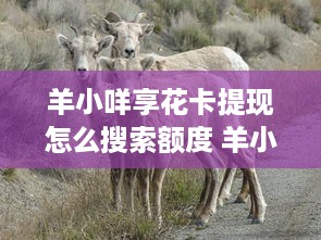 白条取现500元到底是怎么回事？手把手教你避坑指南