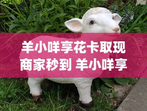 微信漫游聊天记录怎么查看？全面解析与操作指南