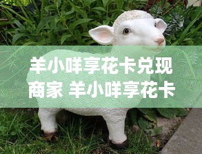 日照萌宠乐园地址查询