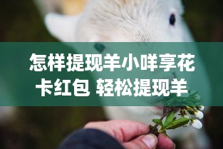 宁波慈溪萌宠乐园体验报告