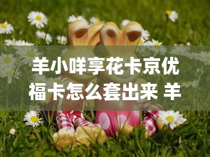 浙江萌宠乐园设计收费解析