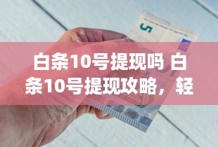 南京户外萌宠乐园合作项目报告