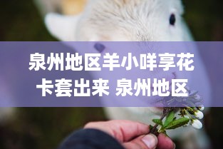 池州萌宠乐园门票价格及优惠信息一览
