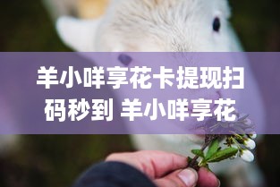 青神萌宠乐园收费标准表