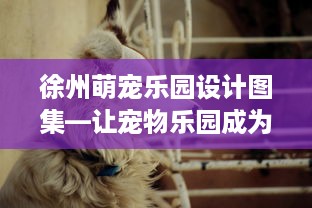 女朋友改密码了,我怎么才能知道她的新密码 揭秘！女朋友改密码了，我如何得知她的新密码？