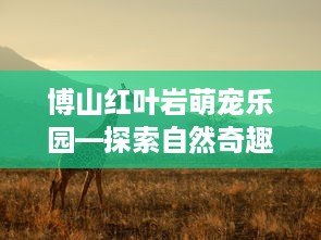 萌宠乐园穿搭情侣图片高清
