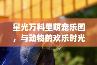 宝鸡玉池公社萌宠乐园电话查询