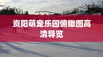 打造萌宠乐园门庭的视觉艺术