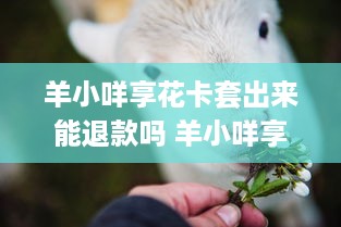 揭秘隐私，如何合法查询个人开房记录