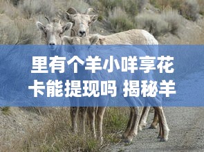 2017微信分付提现店，风口上的暴利生意与风险警示