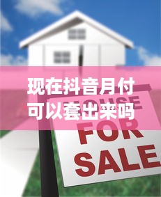 京东白条飞行，如何安全有效地自己套出来？