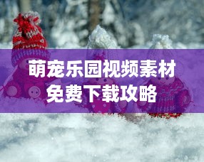 萌宠乐园手帐教程排版