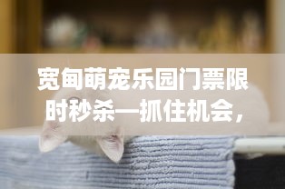 单县浮龙湖萌宠乐园门票攻略