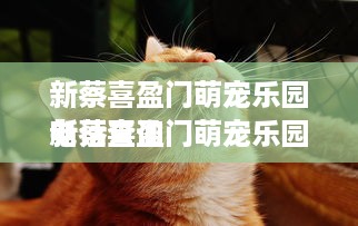 如何查老婆开房记录 揭秘查老婆开房记录的正确姿势与风险提示