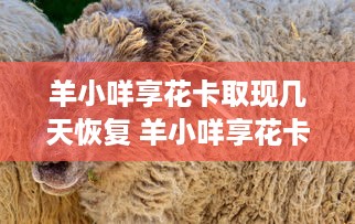 自己羊小咩便荔卡怎么取现 自己羊小咩便荔卡怎么取现？轻松攻略让你轻松操作！