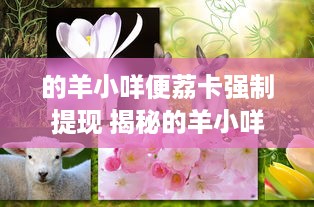 自己羊小咩便荔卡怎么取现 自己羊小咩便荔卡怎么取现？轻松攻略让你轻松操作！