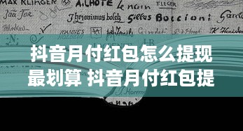 身份证查宾馆开房 揭秘身份证查宾馆开房，隐私保护与行业监管的平衡之道