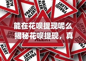 萌宠乐园的游玩准备清单