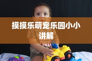 萌宠乐园门票备案问题探讨