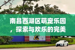 京东白条收的钱在哪里提现 京东白条收的钱怎么提现？一文教你轻松操作！