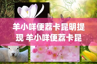 花呗取现资格全解析
