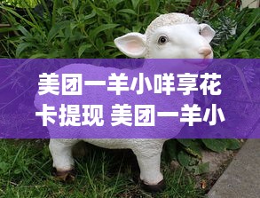 揭秘隐私边界，如何合法查询他人聊天记录