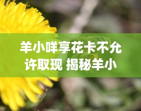 萌宠孔雀乐园