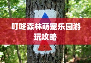 牡丹江葩兹萌宠乐园—探索宠物乐园的奇幻之旅