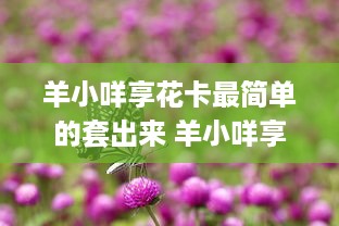 微信分付提现几次涨额度 微信分付提现次数揭秘，涨额度的小秘密！