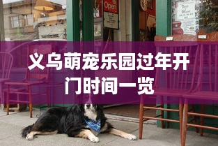微信聊天记录监控全解析，合法途径与风险警示
