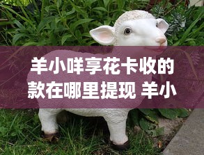 京东白条收钱了怎么提现 京东白条收钱后，怎么轻松提现到账？