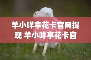 萌宠乐园团购优惠