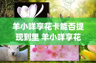 遵义白条取现额度多少钱 遵义白条取现额度揭秘，你能拿多少钱？