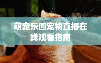微信聊天记录能恢复？看完这篇你就懂了！