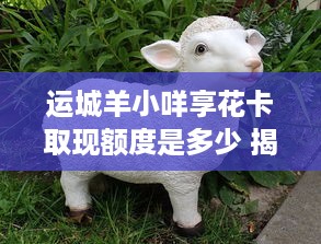 微信分付提现扫码秒到 微信分付提现扫码秒到，轻松便捷，体验不一样的金融生活！