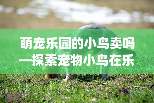 身份证开房记录怎么查 揭秘身份证开房记录查询，如何轻松获取他人住宿信息？