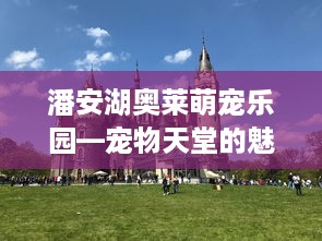 潍坊花呗套现，真的能轻松提现吗？揭秘背后的风险与套路