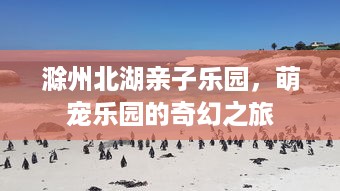 京东白条商家码提现可以吗 京东白条商家码提现攻略，轻松操作，资金到账快人一步！