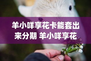 微信分付提现挂失银行卡 微信分付提现挂失银行卡，教你如何应对和解决！