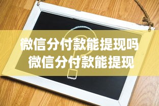 萌宠乐园营业执照办理指南