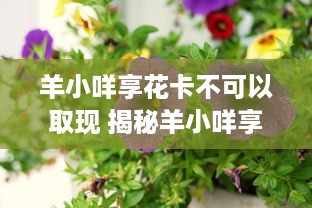 抖音月付银项链能提现吗 抖音月付银项链提现攻略，揭秘你的银项链能否变成真金白银？