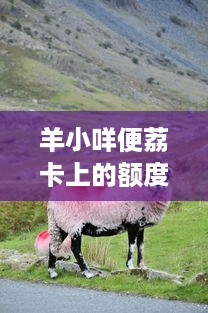 微信聊天记录查询全攻略，合法途径+防查技巧+常见误区
