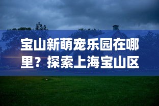 偷查别人微信聊天记录，道德的边界与法律的红线